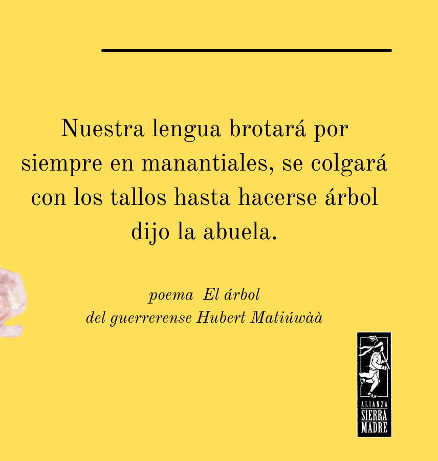 Día internacional de la lengua materna