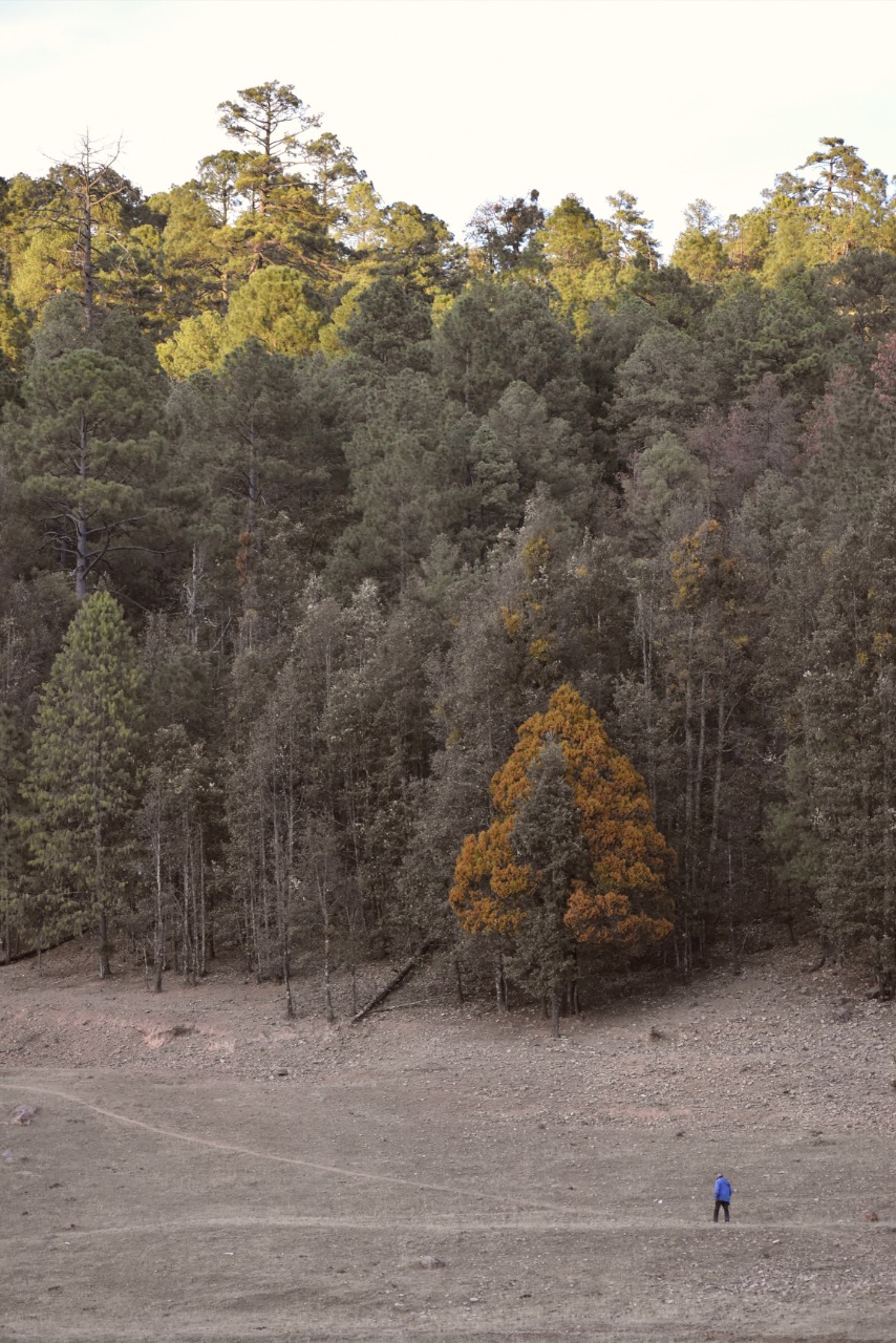 Día Internacional de la Tierra