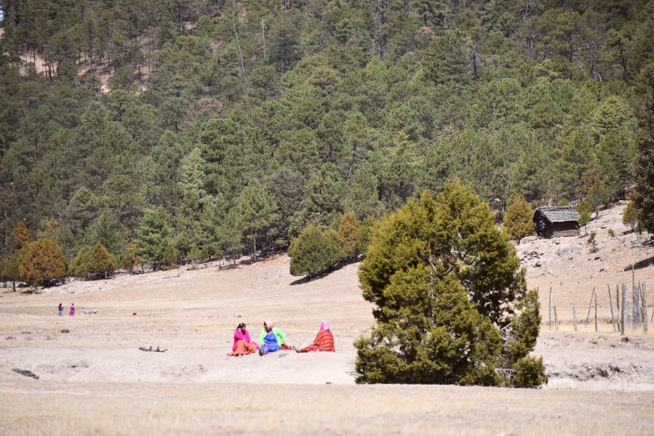 Posicionamiento ASMAC